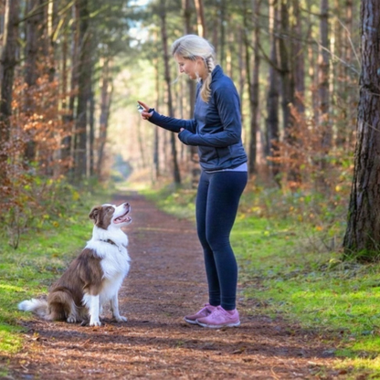 Ruff Dog Training Whistle for Pets