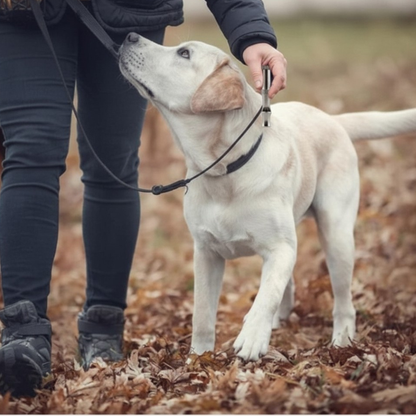 Ruff Dog Training Whistle for Pets