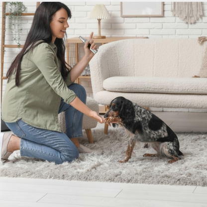 Ruff Dog Training Whistle for Pets