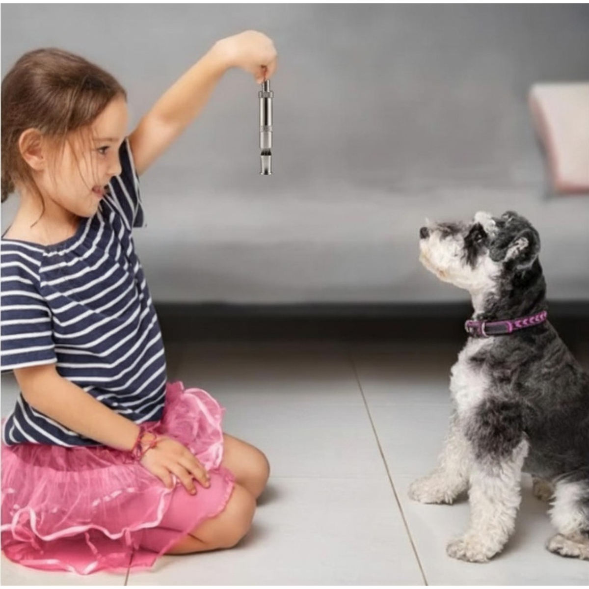 Ruff Dog Training Whistle for Pets