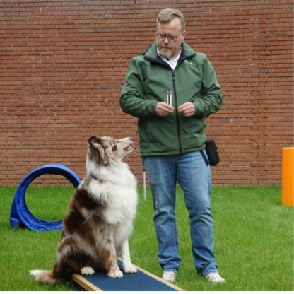 Ruff Dog Training Whistle for Pets