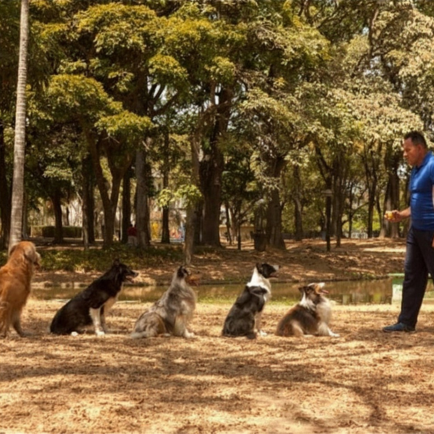 Ruff Dog Training Whistle for Pets